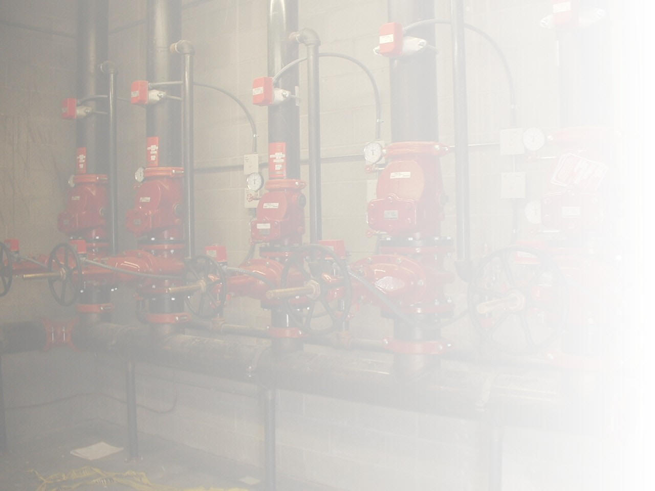 AMERICAN SPRINKLER CORPORATION 2004